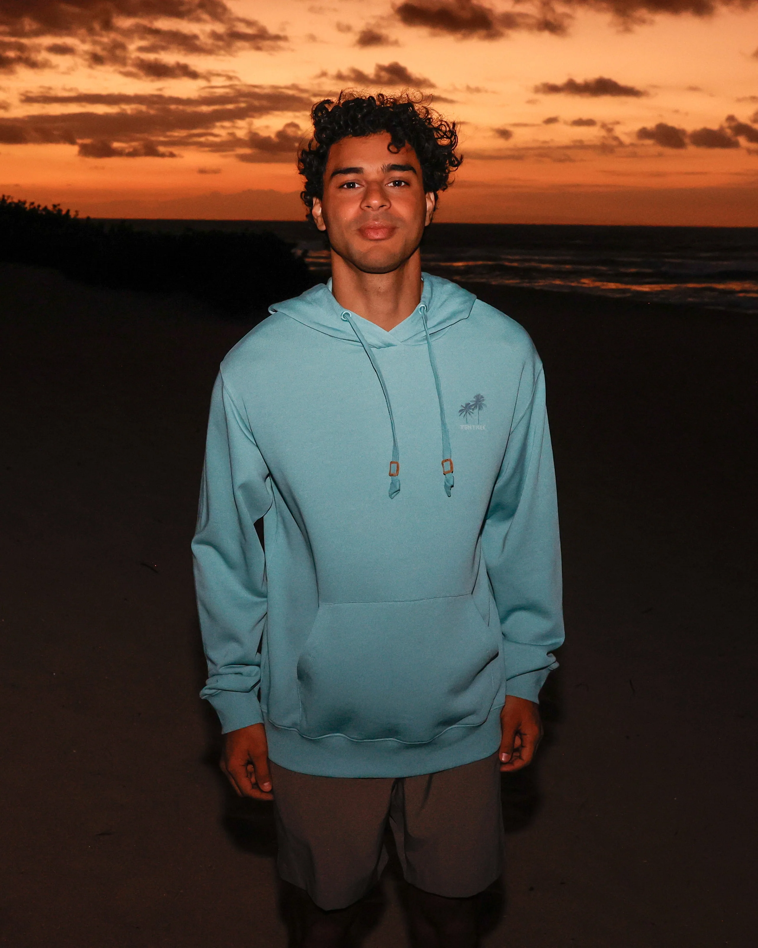 Haiti Palm Logo Relaxed Hoodie - Image 2