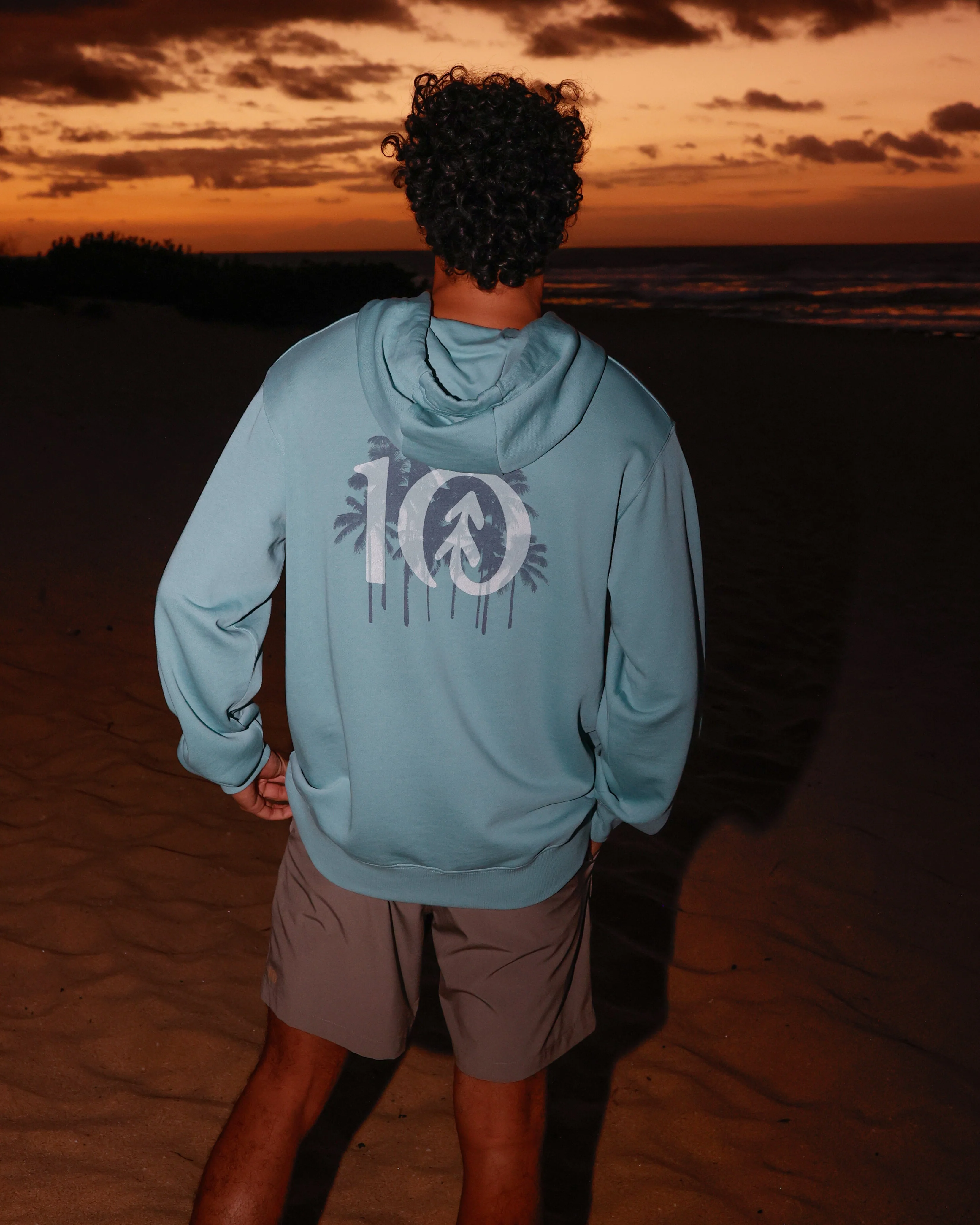 Haiti Palm Logo Relaxed Hoodie - Image 5