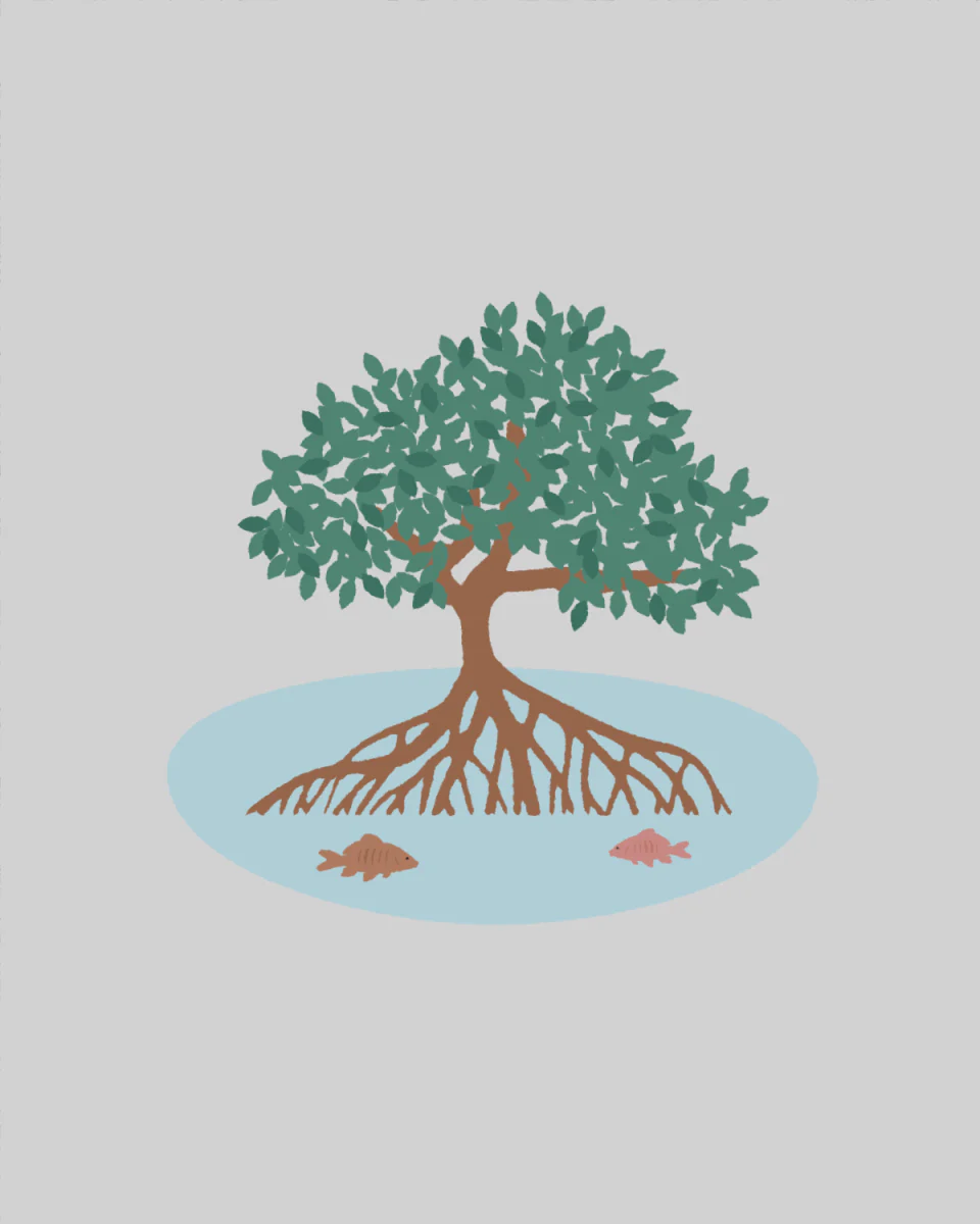 Plant in a Mangrove Forest - Image 2